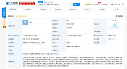 计算机系统服务 数字化时代的企业基石